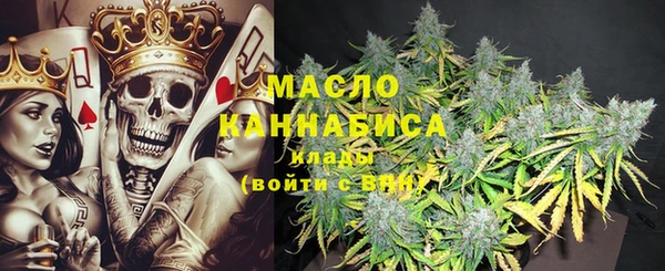 индика Каменногорск