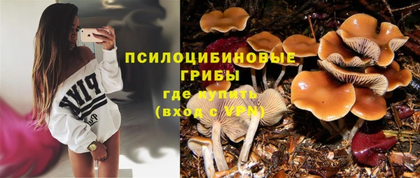 бошки Володарск