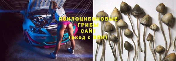 эйфоретик Волоколамск