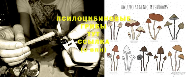 PSILOCYBIN Медногорск