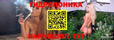 скорость Берёзовский