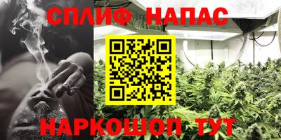 ECSTASY Беслан