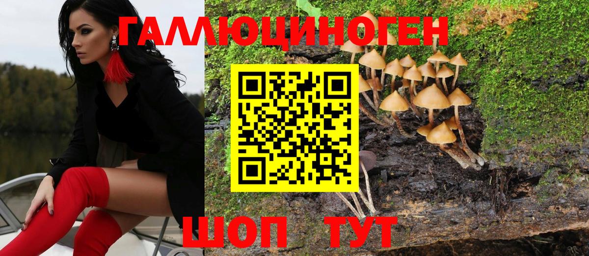 Краснознаменск  дарнет шоп  Вход с VPN  Псилоцибиновые грибы MAGIC MUSHROOMS 