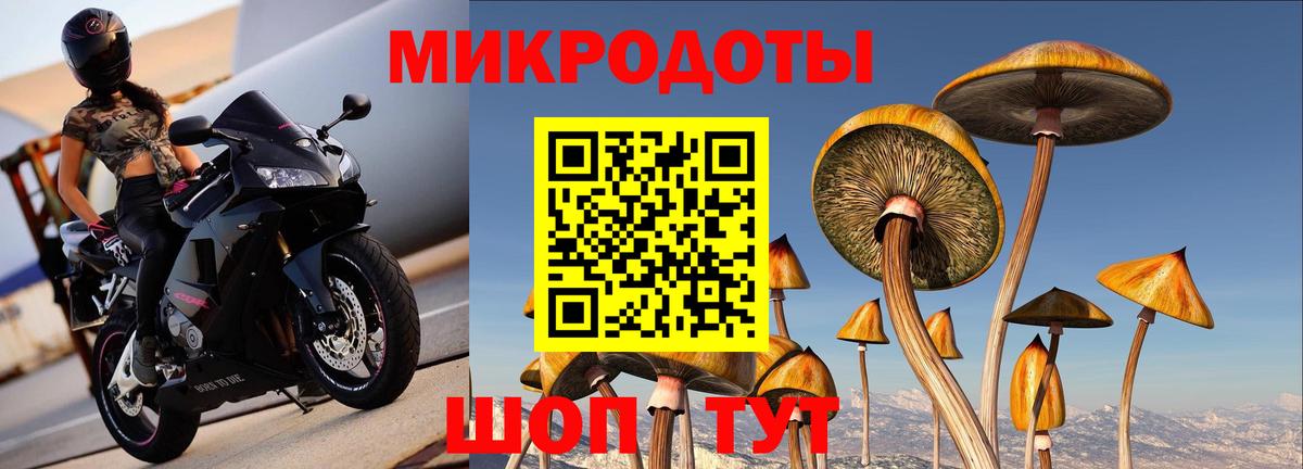 Галлюциногенные грибы GOLDEN TEACHER Краснознаменск