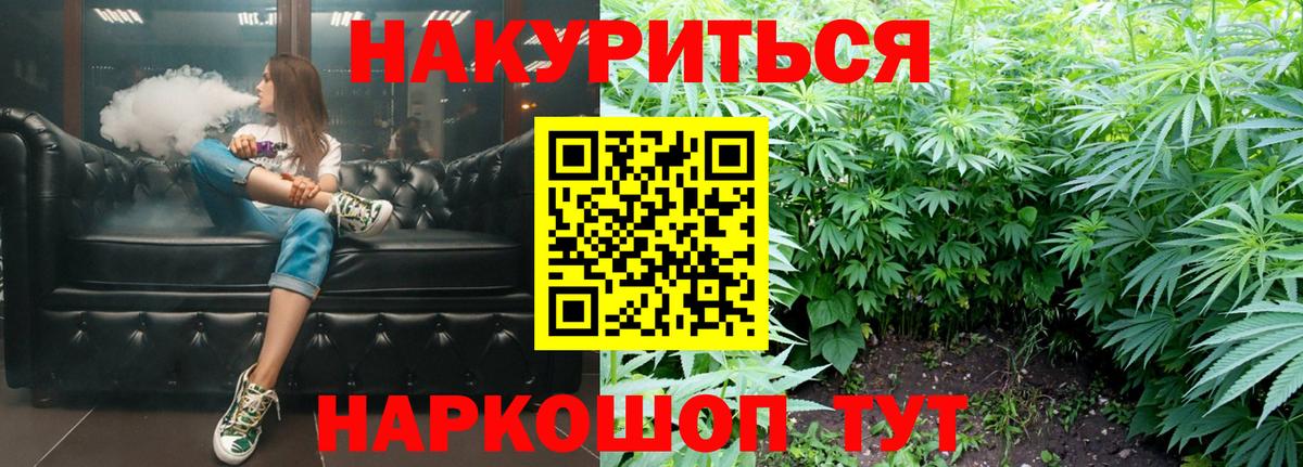 Бошки Шишки OG Kush  Краснознаменск  Бошки Шишки план  Бошки марихуана семена  Марихуана план 