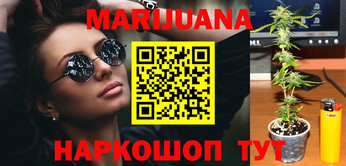 Каннабис сатива Краснознаменск